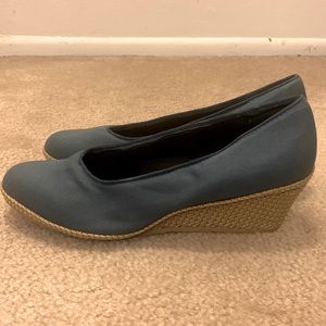Blue Wedges
